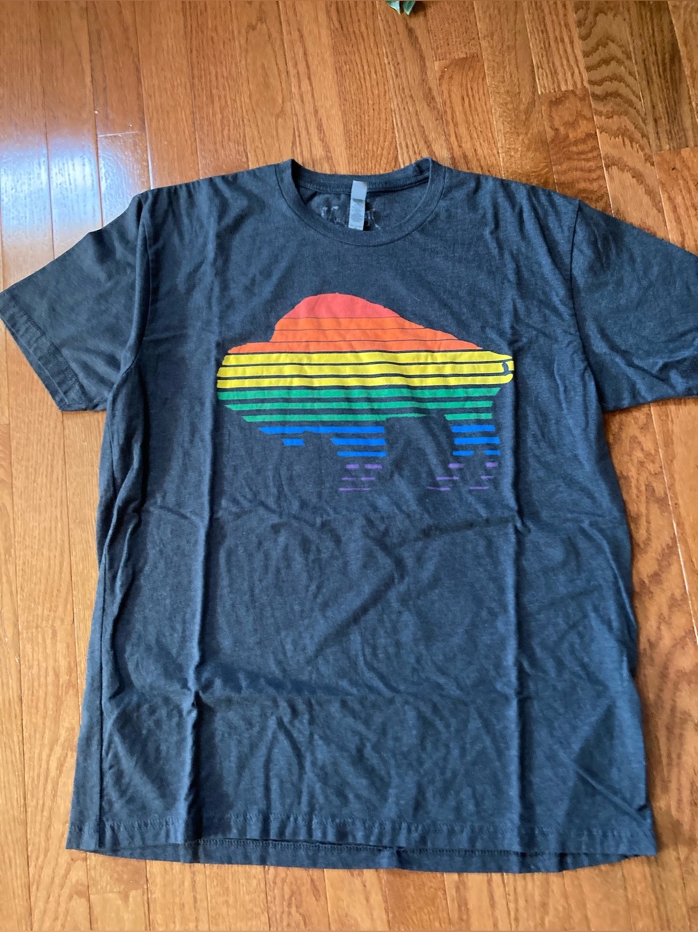 Buffalo Pride Logo Tee Shirt Pasteurizedtees New York XL 🌈